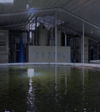 Production tanks